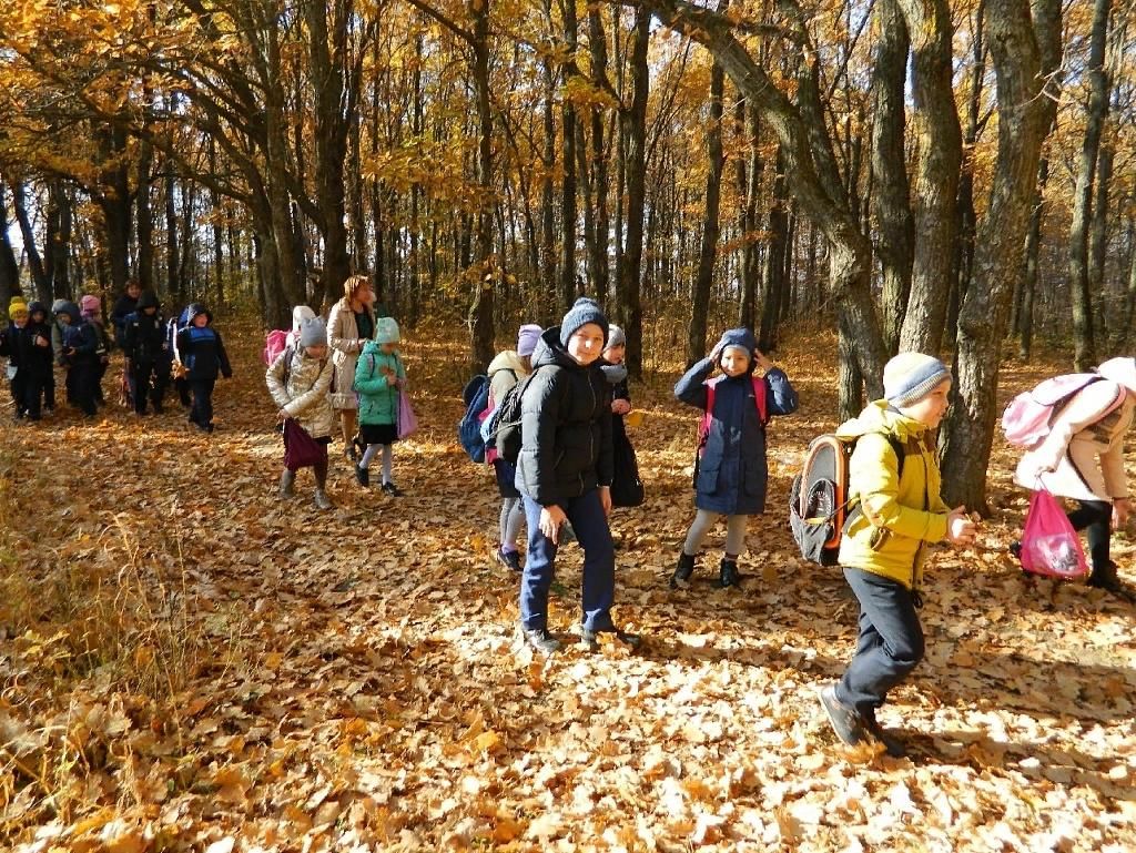 Проект экскурсия в природу