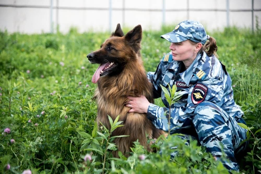 День кинолога 21 июня картинки. С днем кинолога. Международный день кинолога.