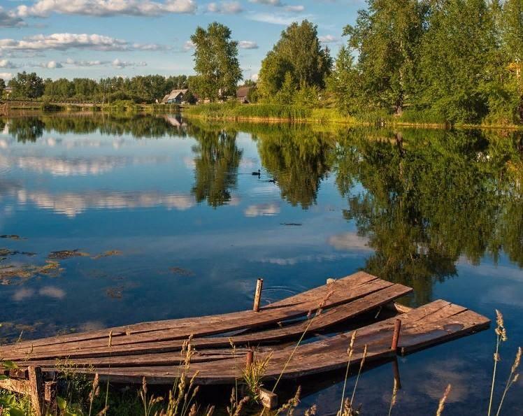 Родное место отзывы