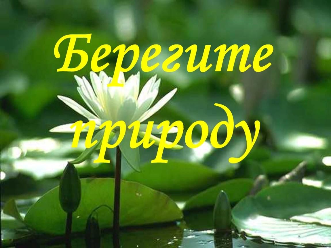 Презентации на тему берегите природу