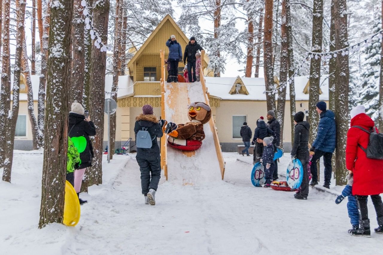 елочки домодедово отдых