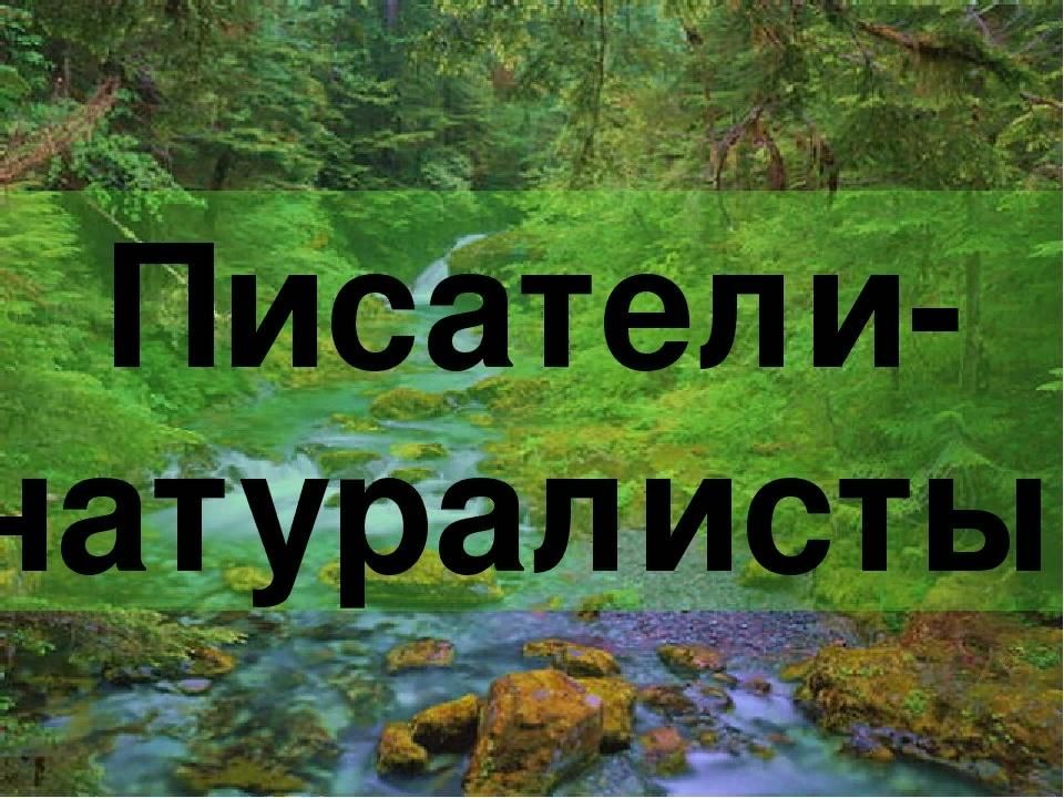 Имена натуралистов. Писатели натуралисты. Писатели натуралисты для детей. Писатели натуралисты Заголовок. Писатели натуралисты 4 класс.