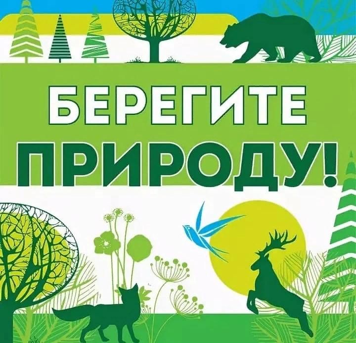 Береги природу картинки с надписями