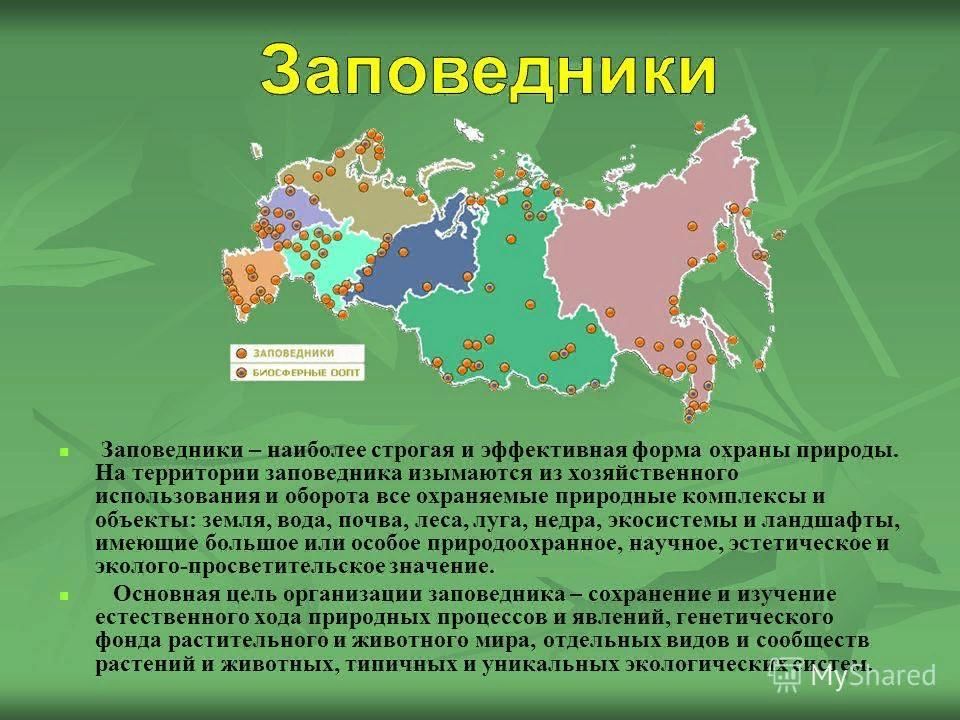 Презентация о заповедниках