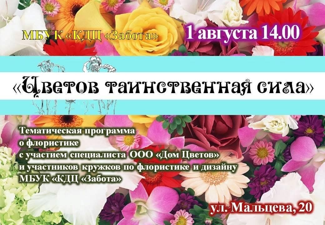Программа цветок. Афиша растения