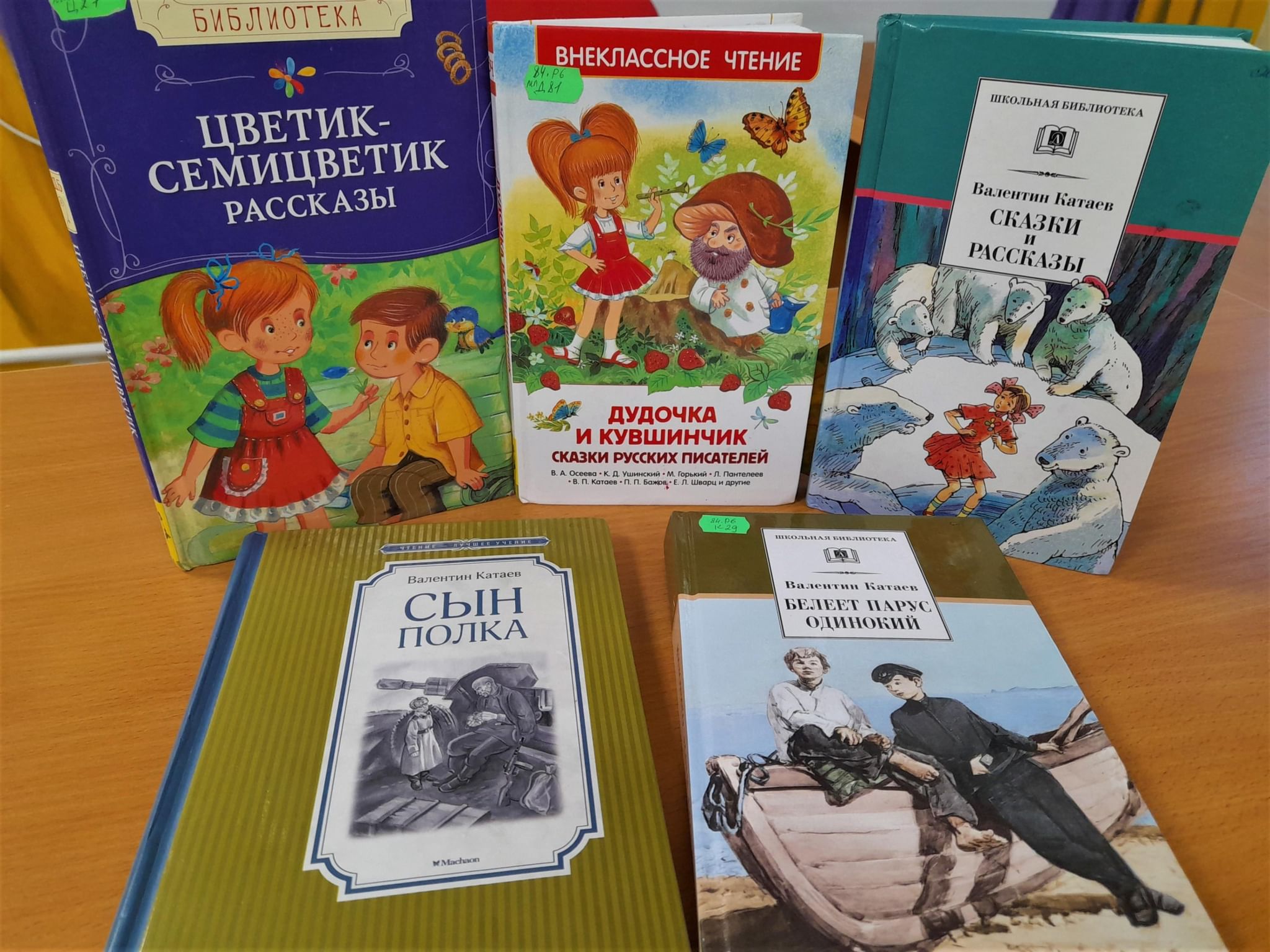 Выставка книг Катаева