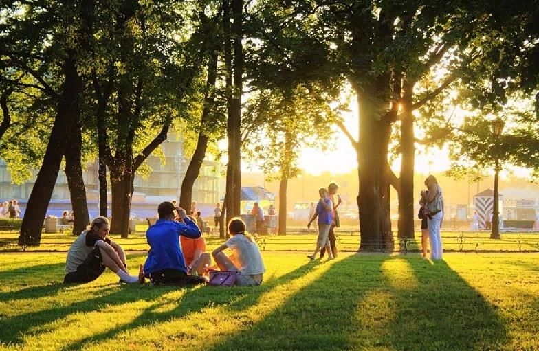 Парк для пикника люди радуются