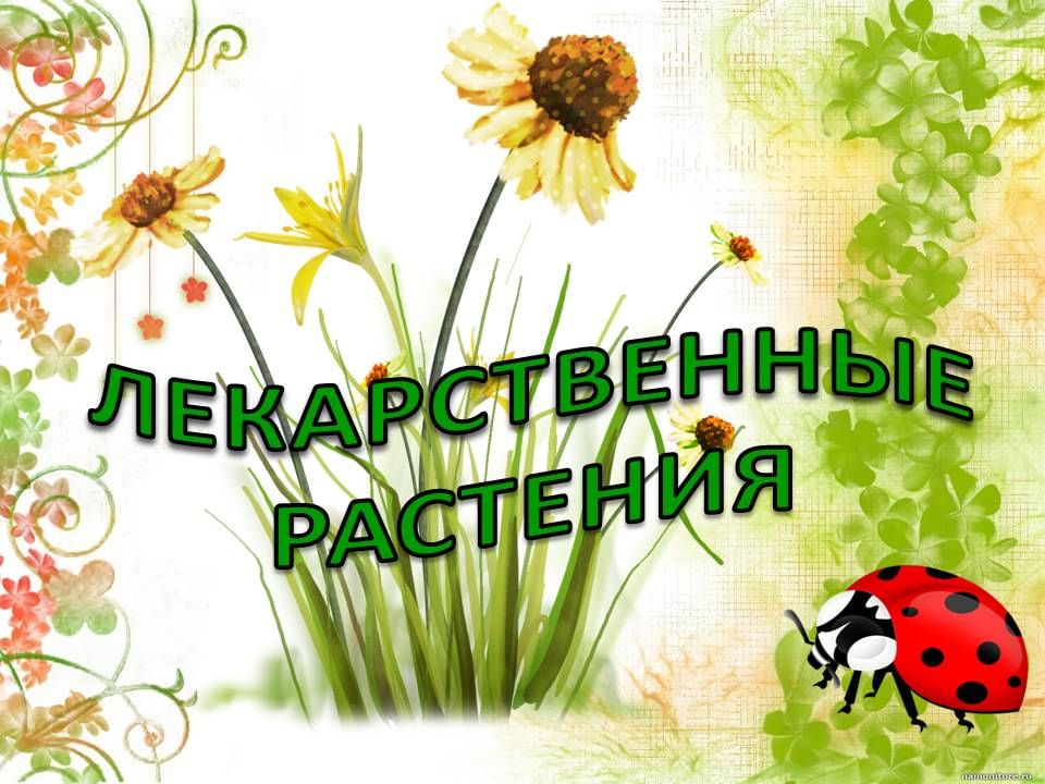 С днем травы картинки