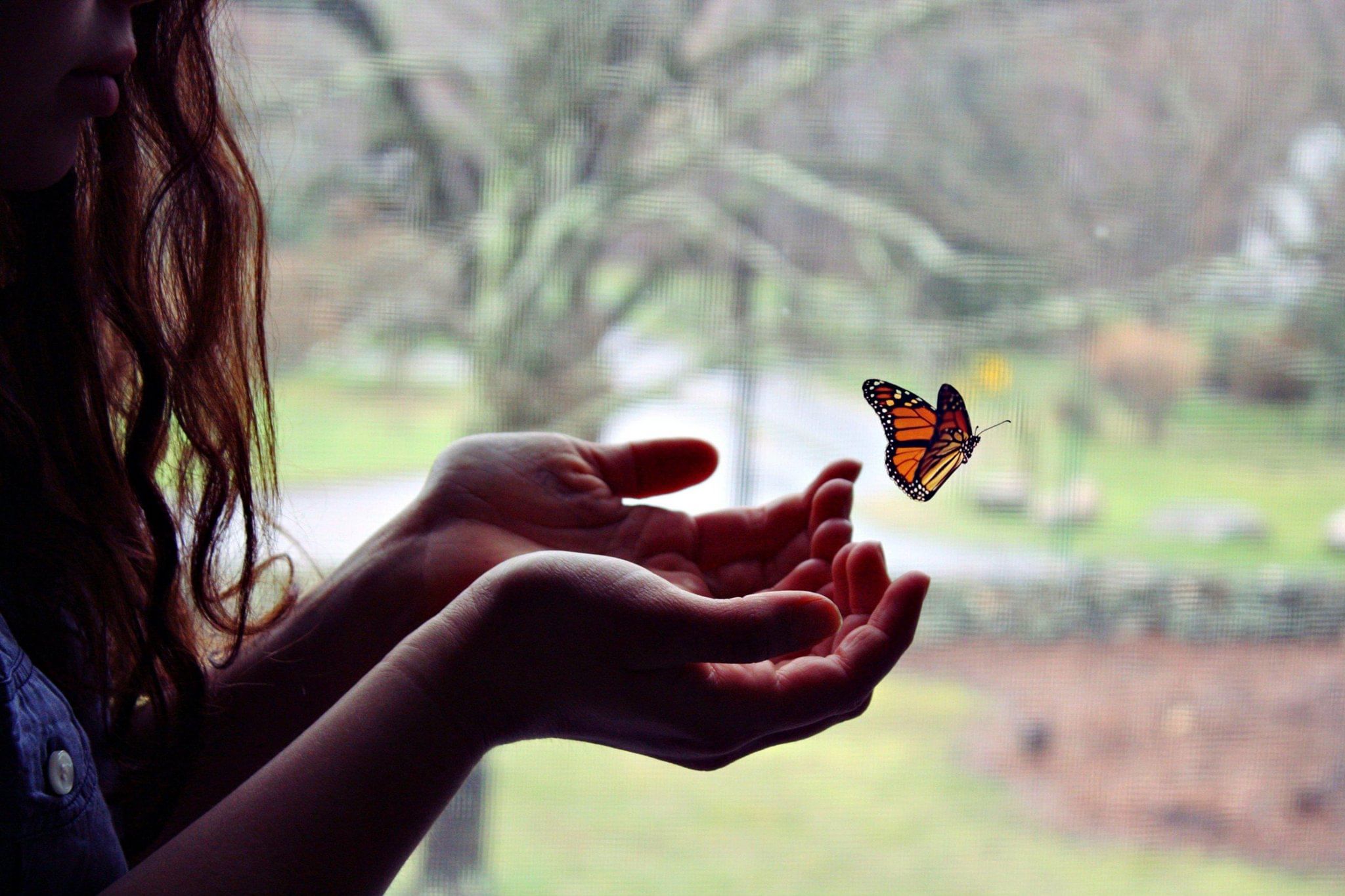 Девушка-бабочка. Девушка с бабочкой на ладони. Счастье бабочки. Девочка с бабочкой.