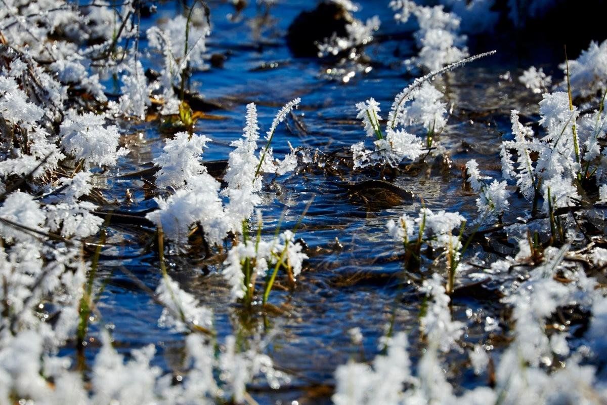 Фото снег весной