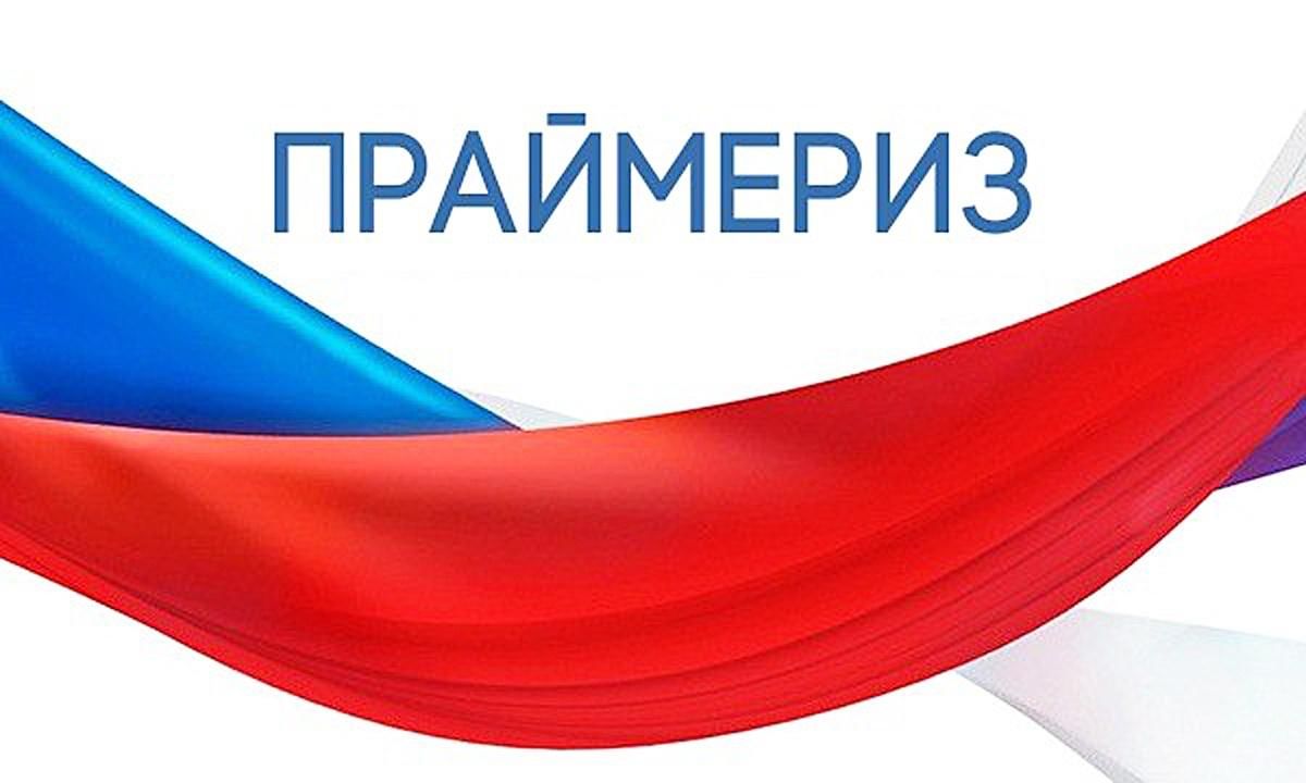 Картинка праймериз единой россии