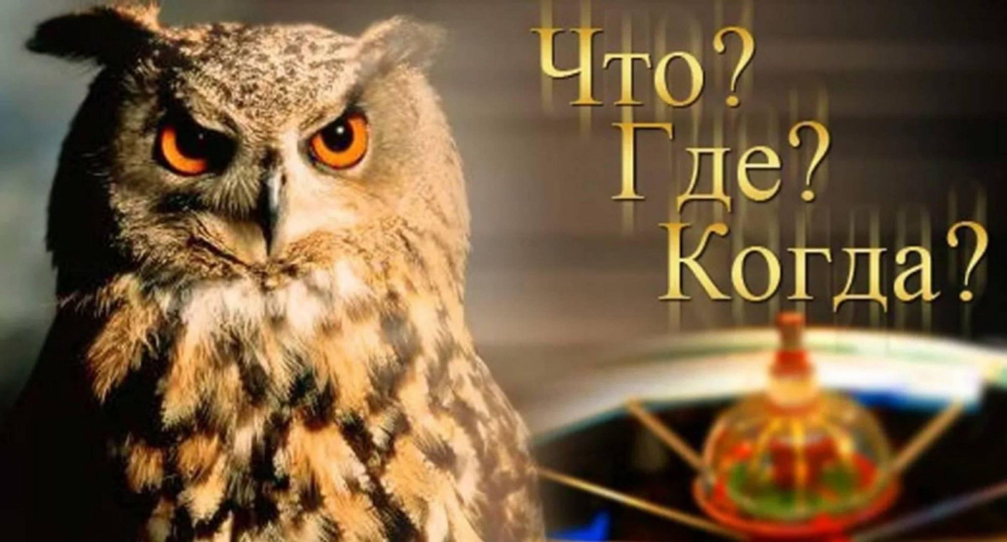Что где когда пдд