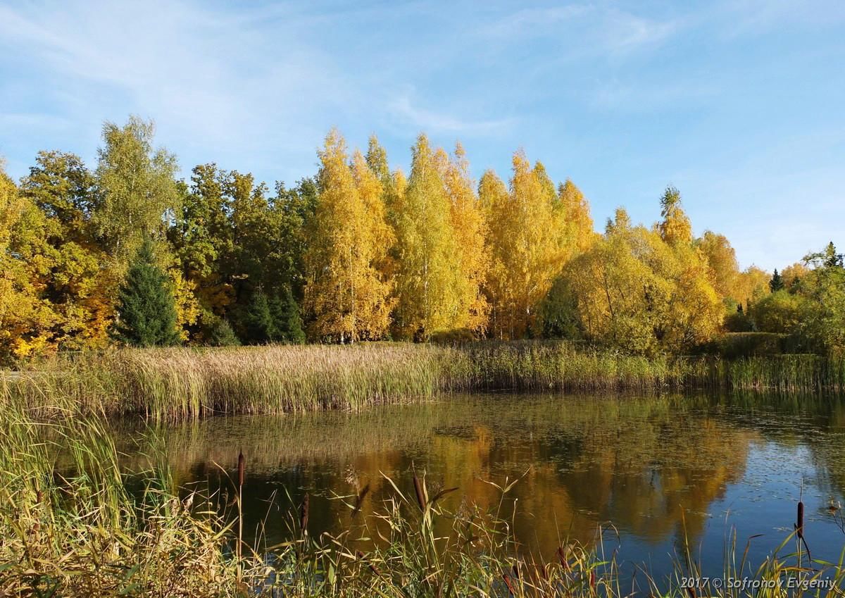 Дендропарк Ульяновск осенью