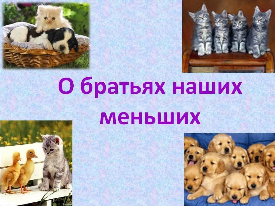 Братья наши меньшие презентация по изо 2 класс