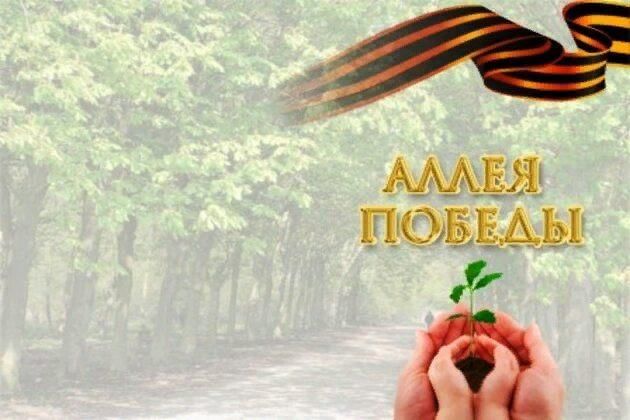 Презентация аллея памяти