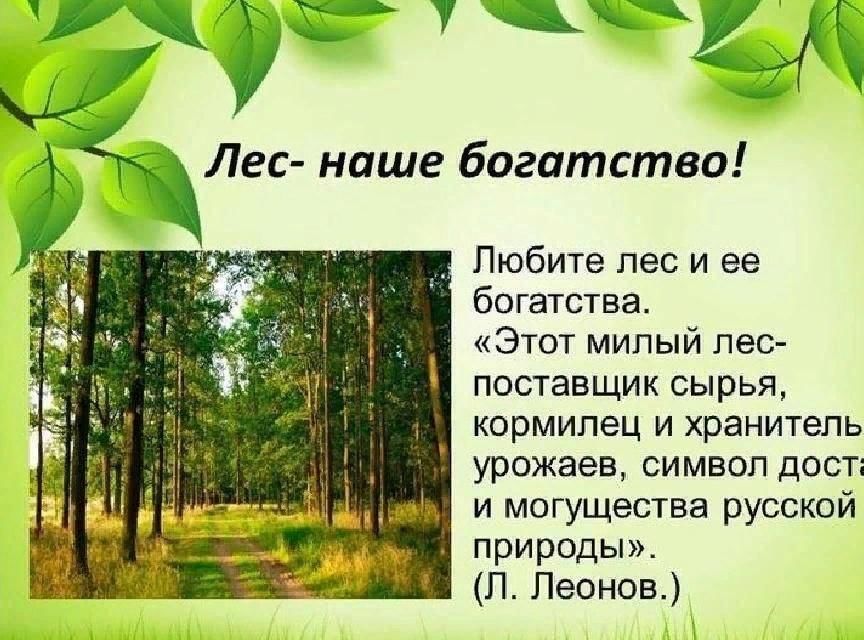 Лес и человек 4 класс окружающий мир школа россии презентация