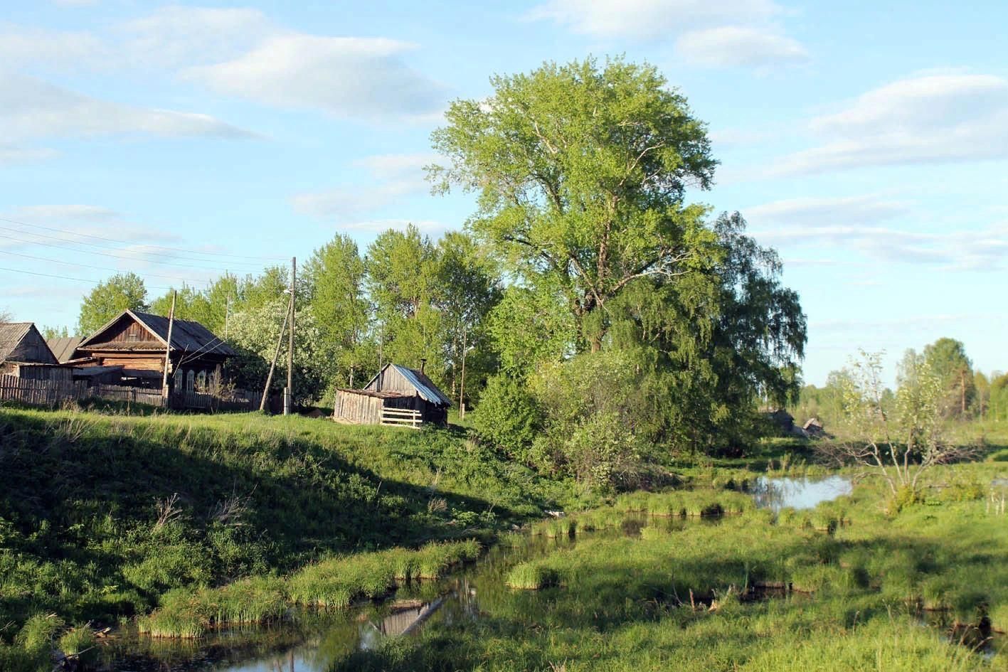 Мое село фото