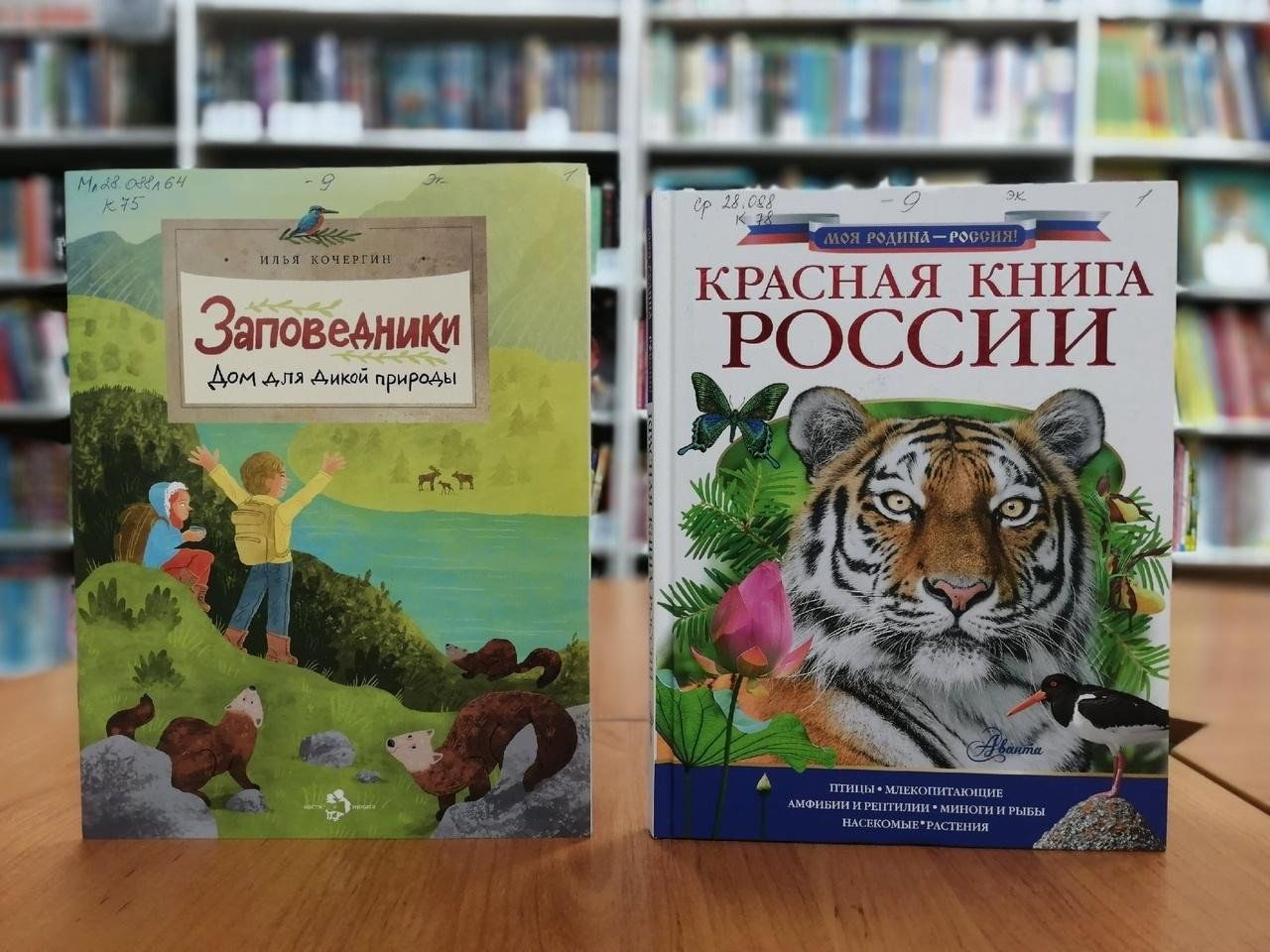 Книжно–иллюстративная выставка «Заповедные места России» 2024, Колпашевский  район — дата и место проведения, программа мероприятия.