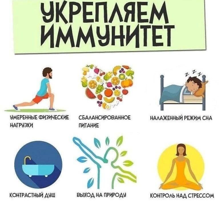Проект иммунитет в жизни человека