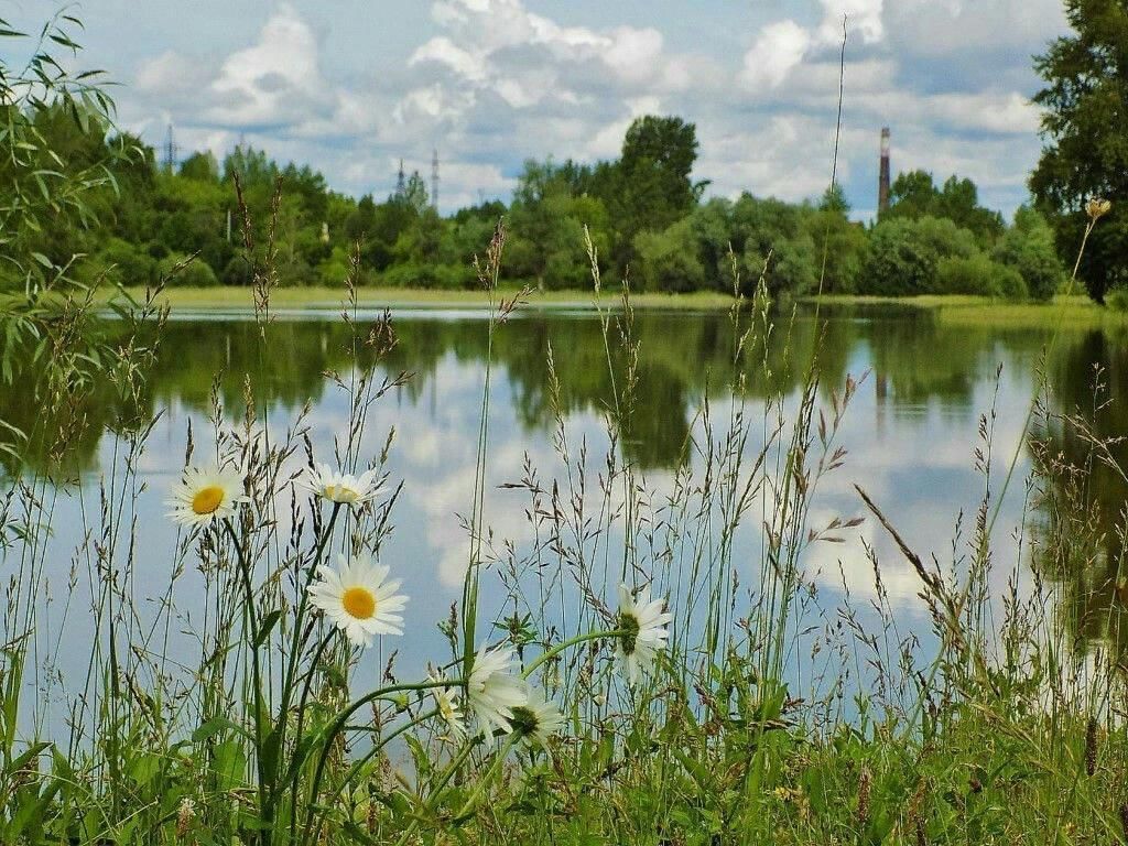 День пруда. Природа без водоема. Картинки у водоема летом. Пруд природа море. Красивые места близ Шуи водоема.