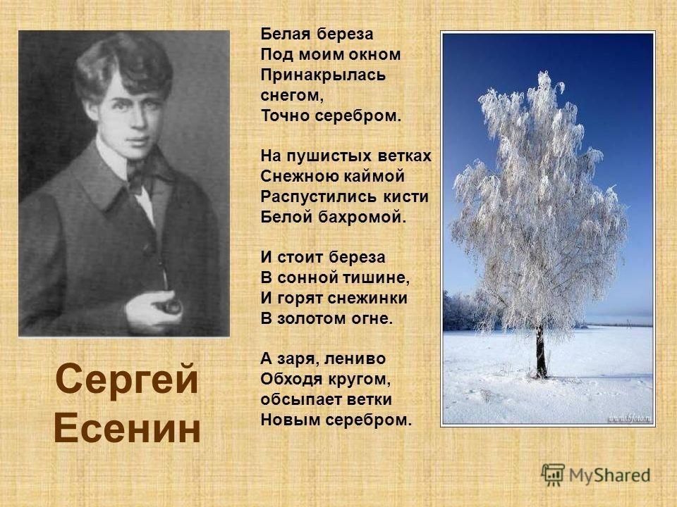 Белая береза есенин презентация