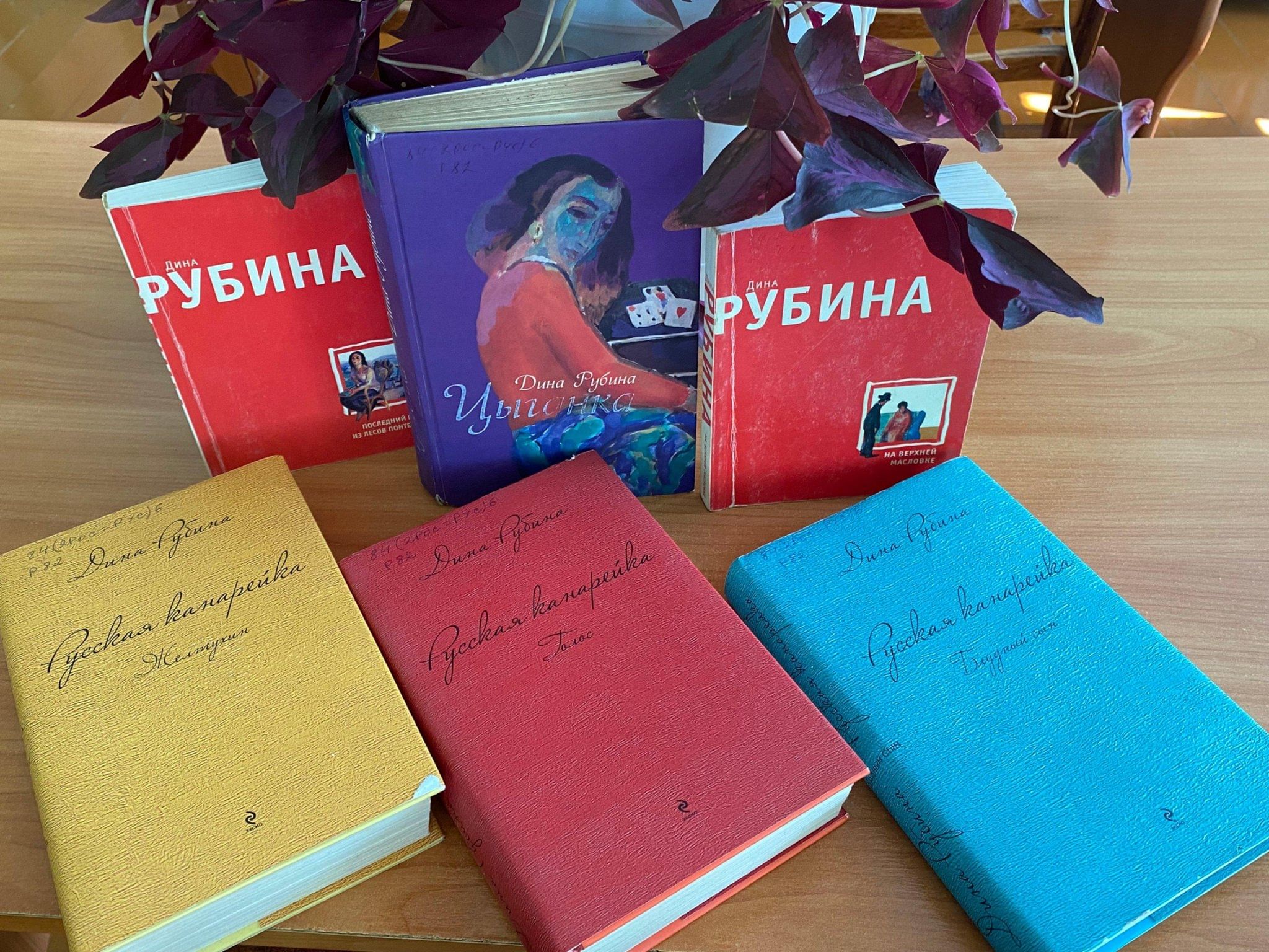 Новые книги дины рубиной