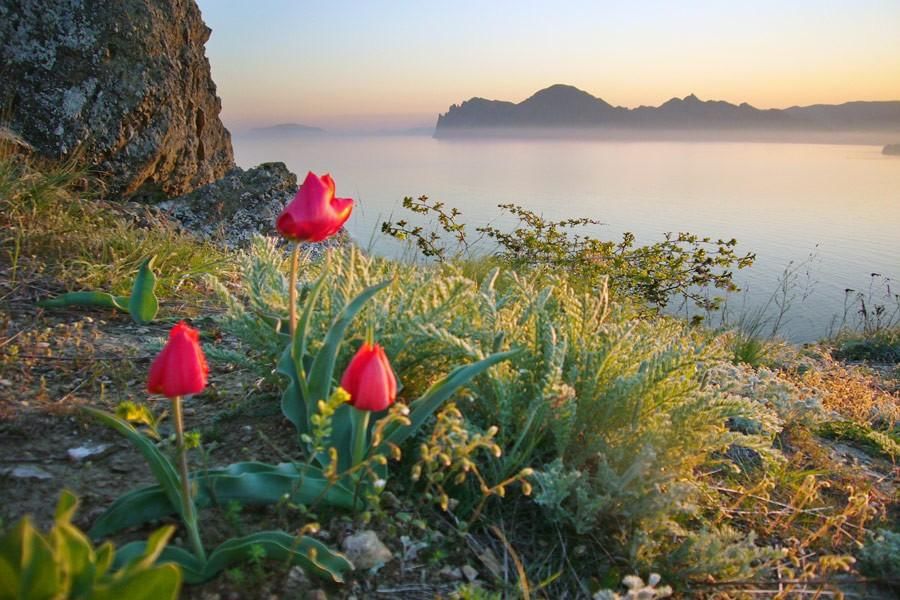 Весна в горах крыма
