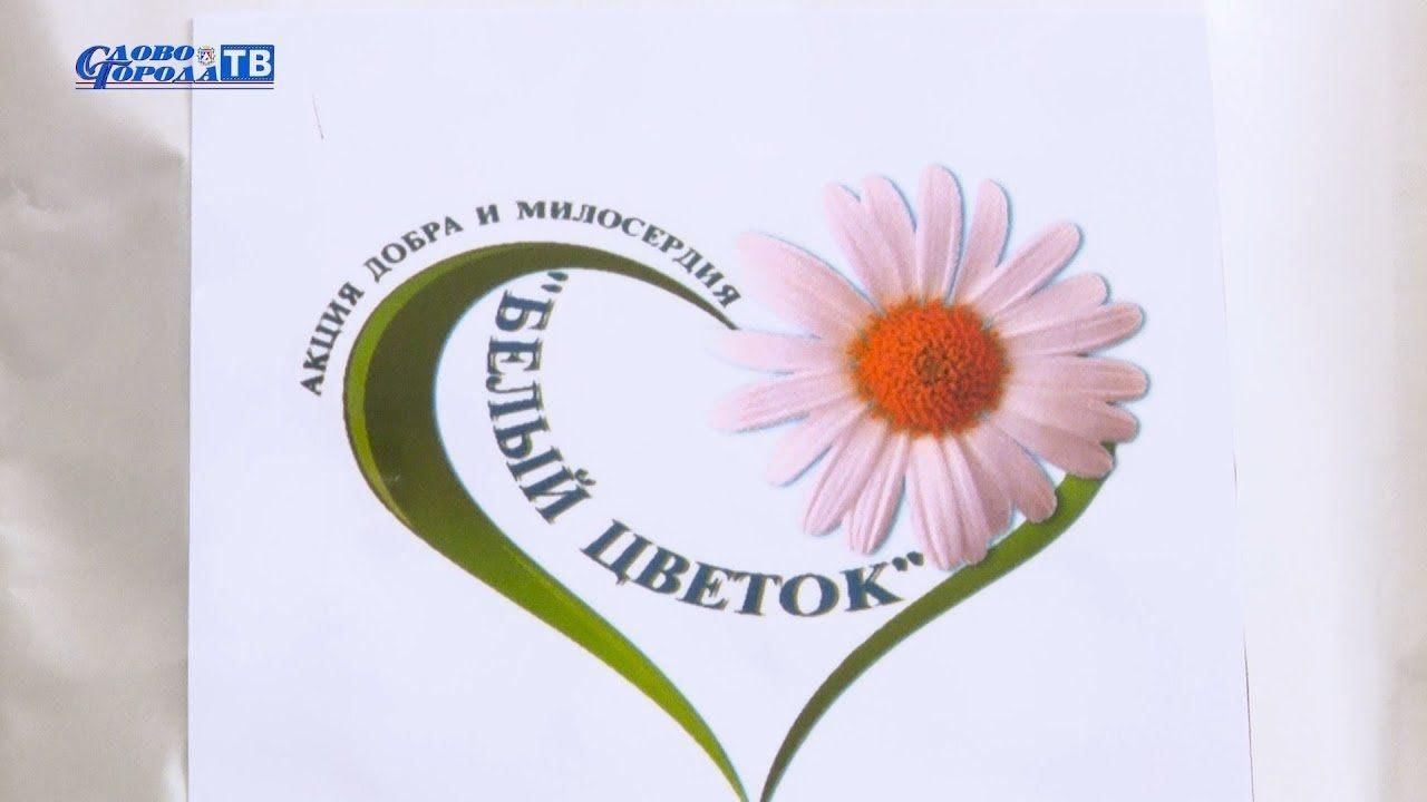 Акция белый цветок презентация