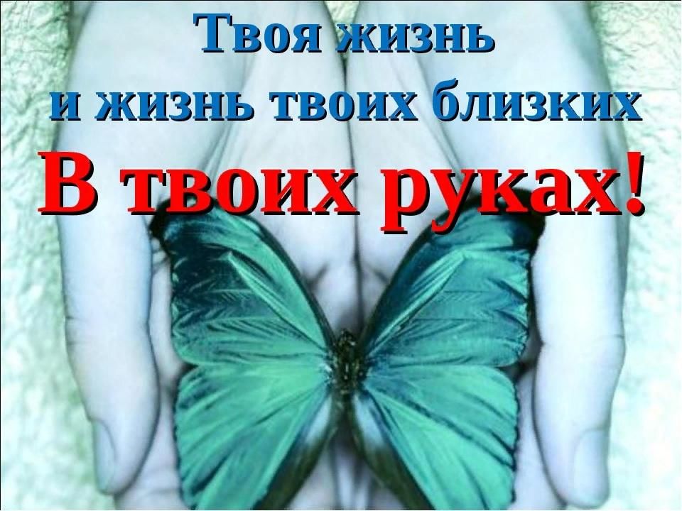 Твоя жизнь в твоих руках. Твоя жизнь в твотх ру Ах. Твоя жизнь в твоих руках презентация. Жизнь в твоих руках сценарий.