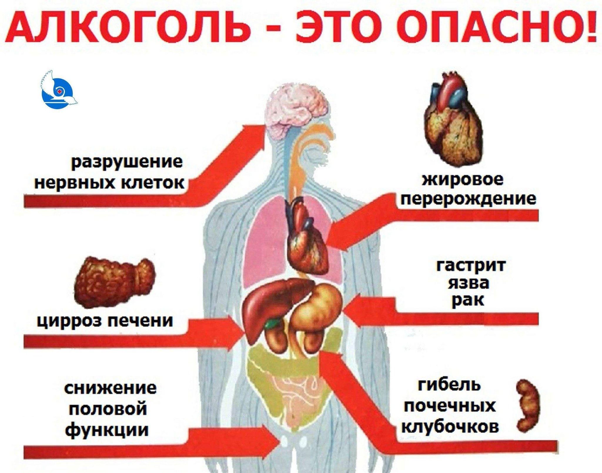 Алкоголь–<b>опасность</b> для здоровья&quot;-беседа с молодежью.