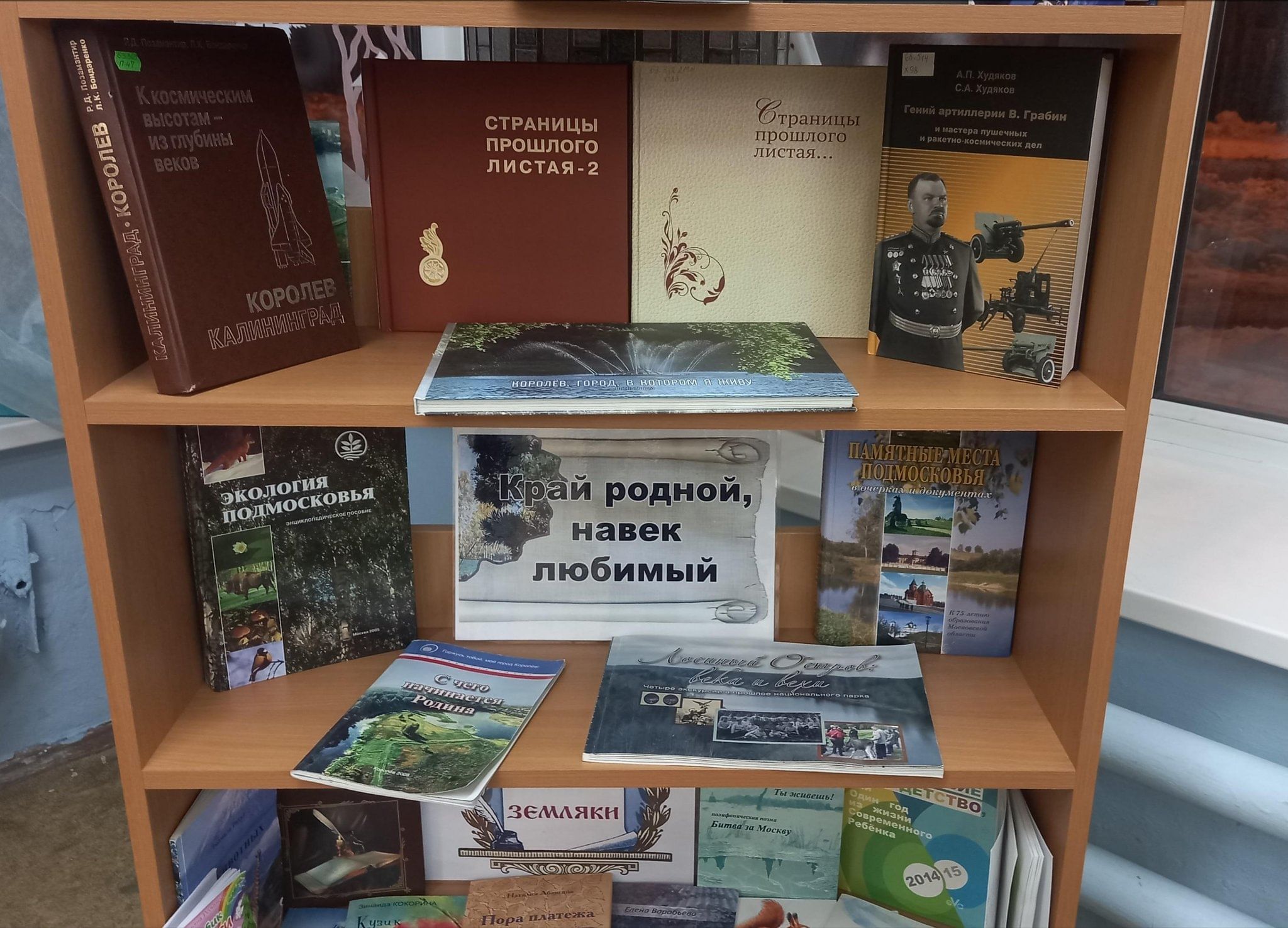 Выставка родные любимые. Выставка о родном крае. Книжные выставки о родном крае. Выставка в библиотеке по родному краю.