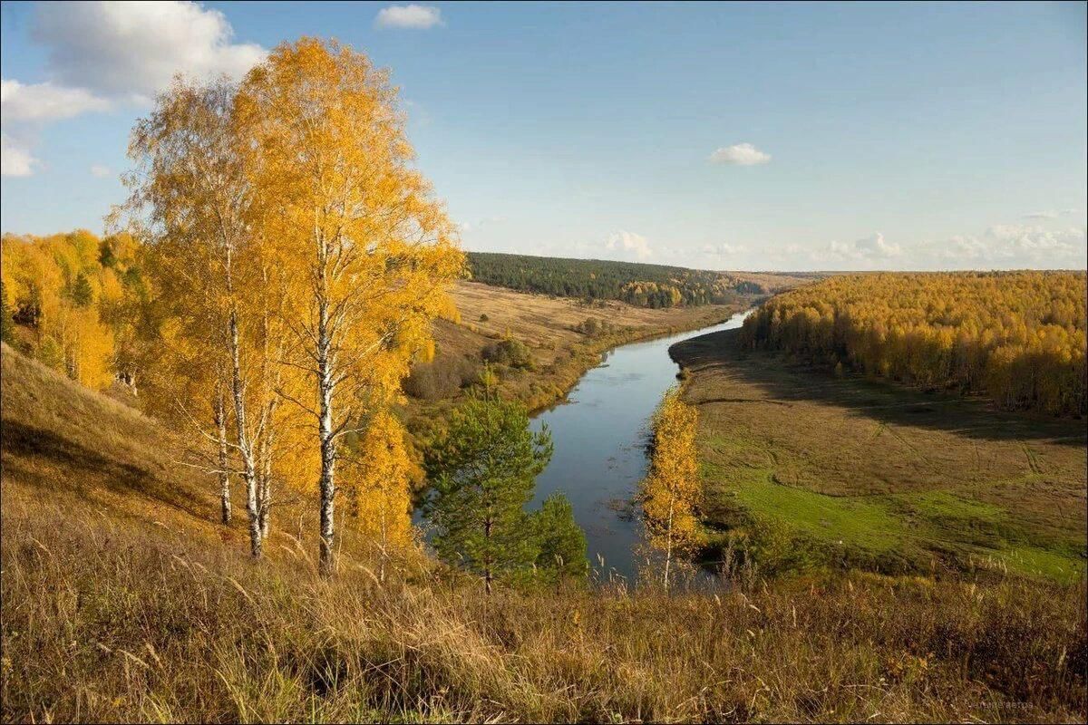 Золотая осень средняя. Осень в России. Осенняя природа средней полосы России. Русская природа осенью. Осенние просторы России.