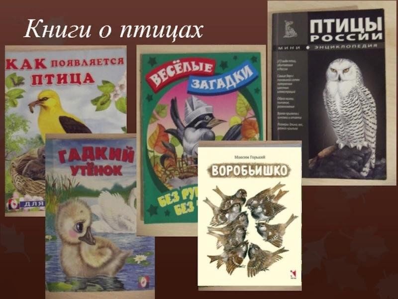 Книги о птицах. Справочник птиц. Выставка книг о птицах. Детская литература о птицах.