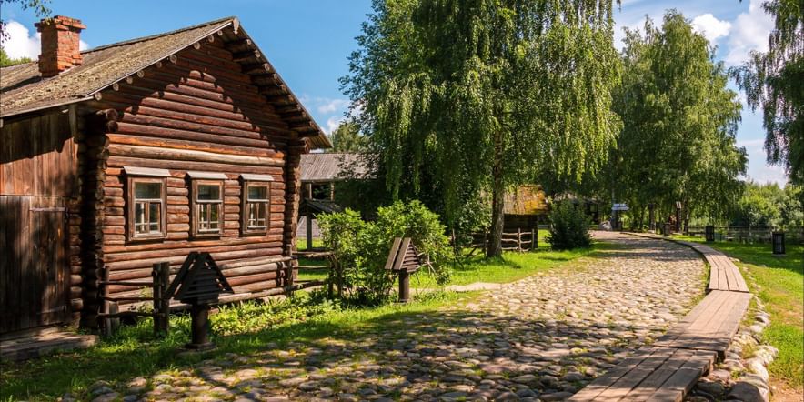 Свайные постройки в природе