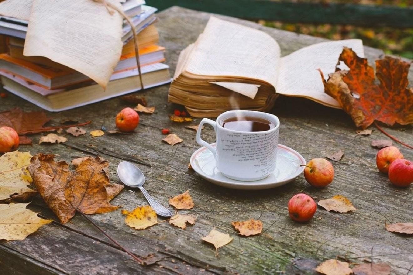 Autumn books. Осенний уют. Книги про осень. Осеннее утро. Осень чай.