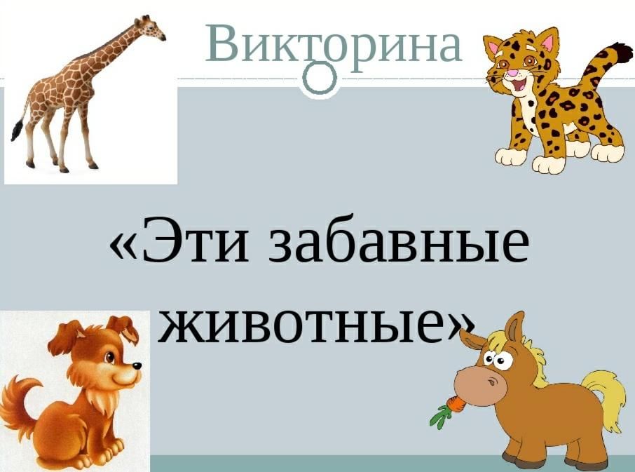 Звери презентация для детей