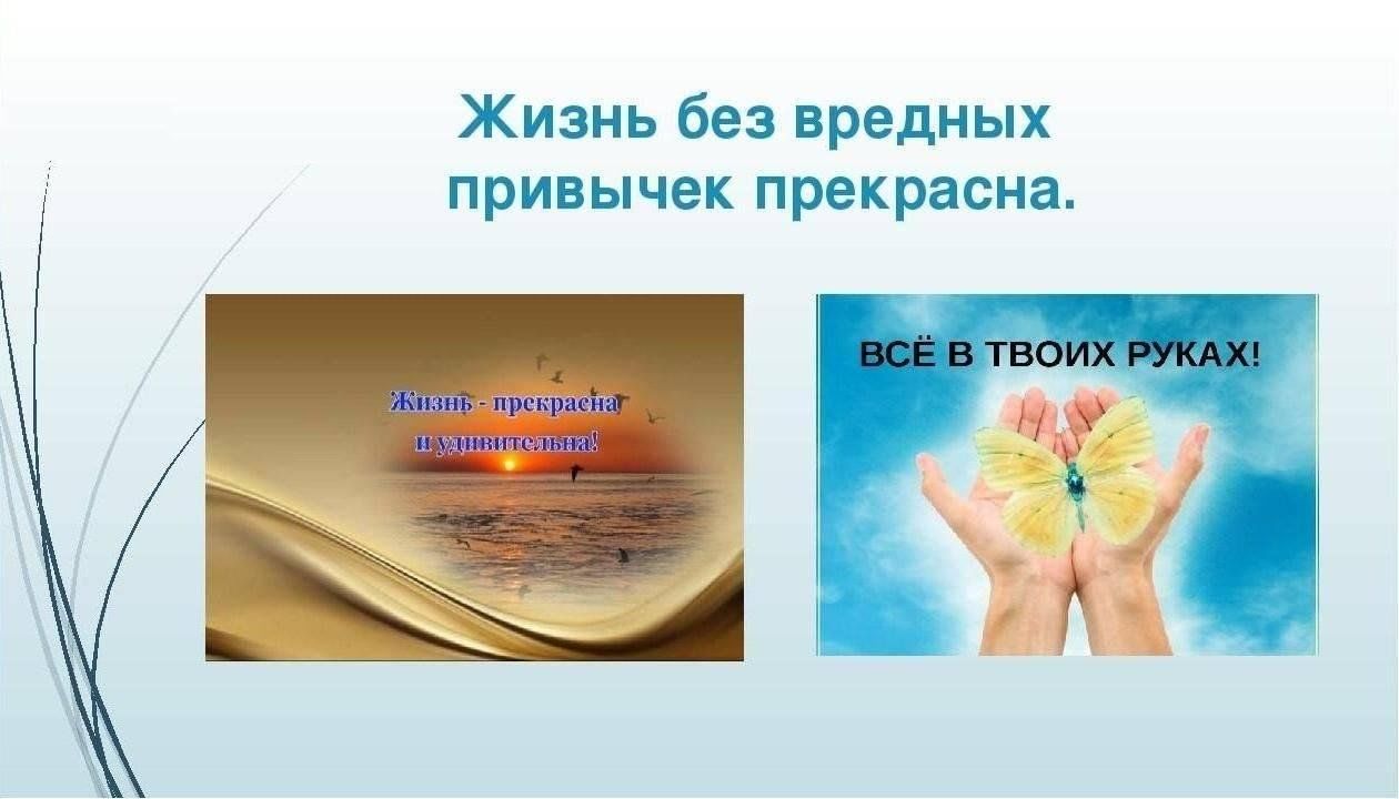 Презентация жизнь без вредных привычек