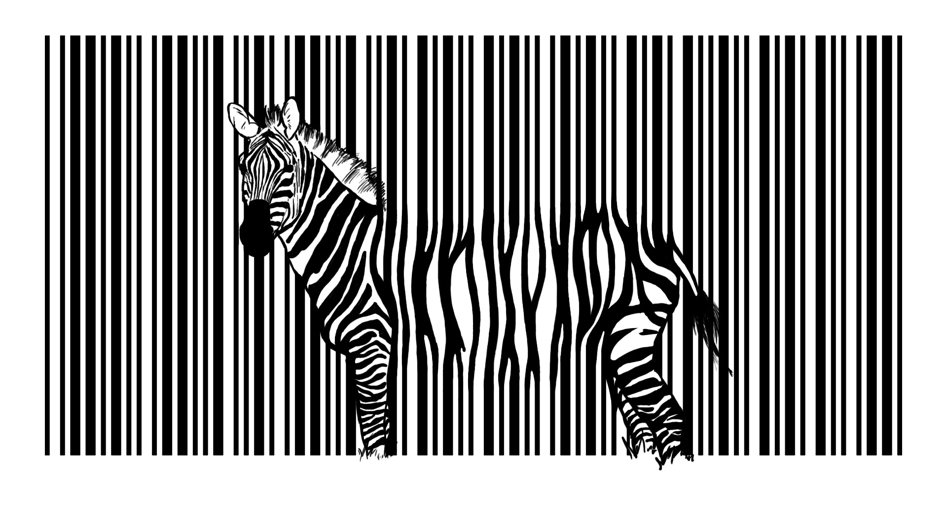 Зебра на полосатом фоне