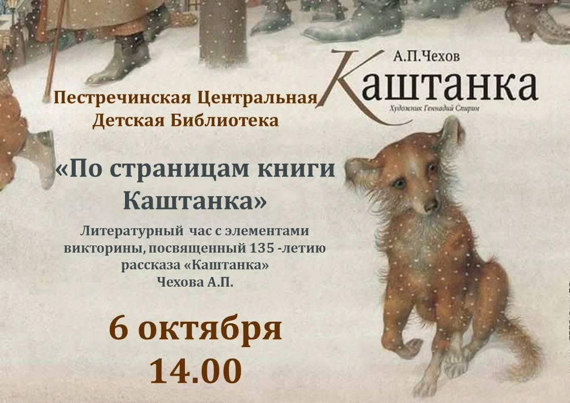 Отзывы каштанка 3 класс. Чехов а. "каштанка". Каштанка план. Каштанка герои. Каштанка афиша