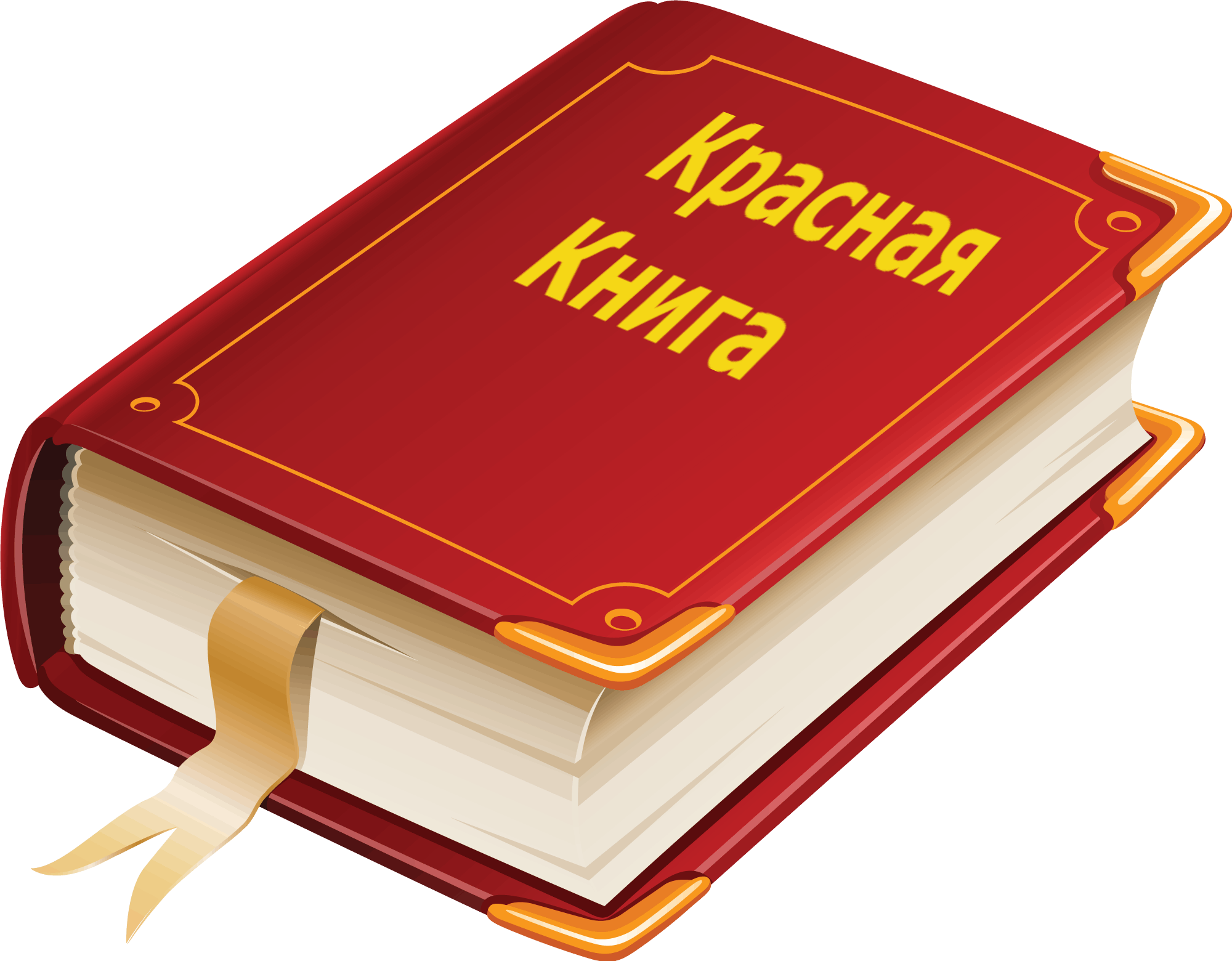 Открытая книга картинка. Школьный баннер. Библиотека картинки. Клипарт PNG.