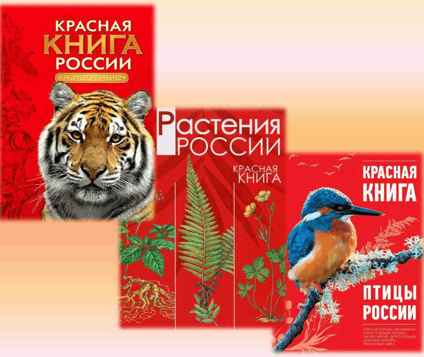 Картинка красная книга россии для детей