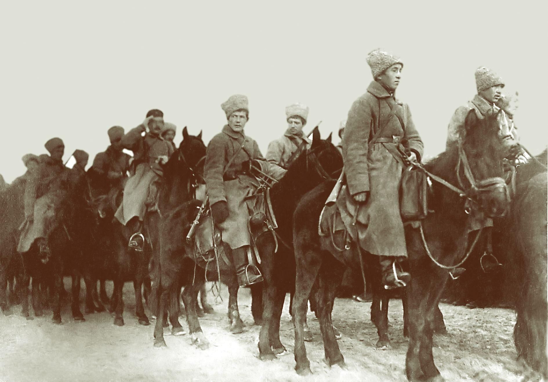 Башкирская кавдивизия 1919
