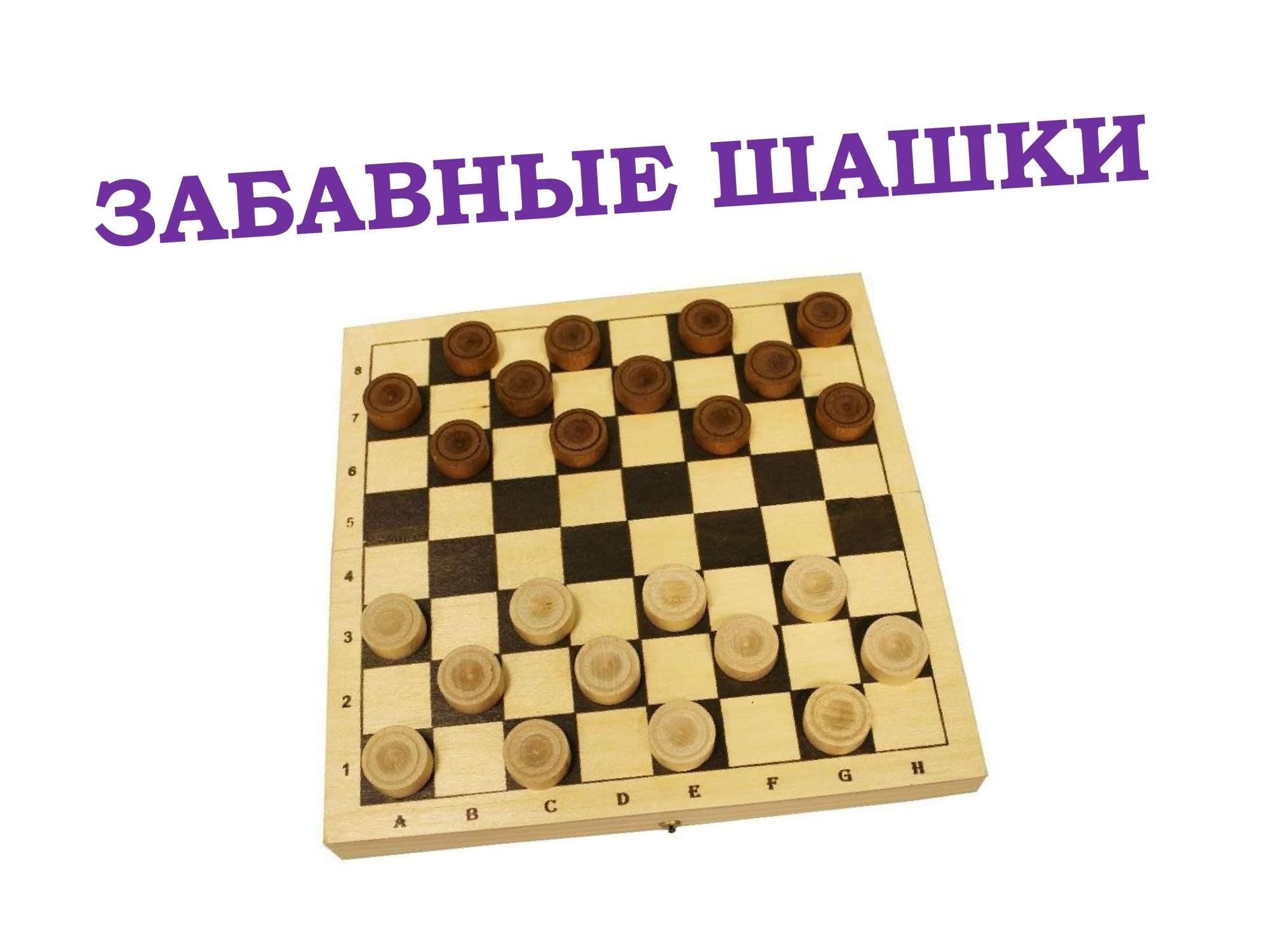 Рыжий кот шашки ин 7513