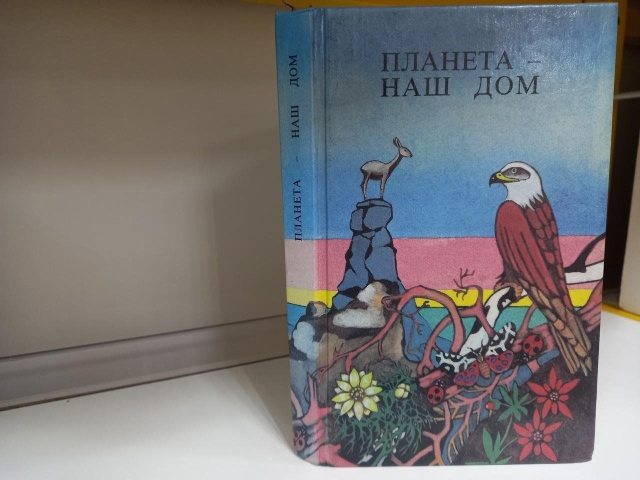 Мастер класс «Эко-инсталляция» 2024, Кирс — дата и место проведения,  программа мероприятия.