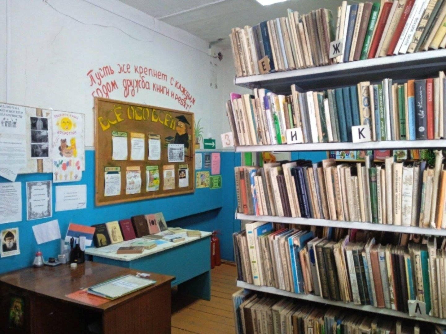 Каменская библиотека воронежской области. Нижнекаменская Сельская библиотека.