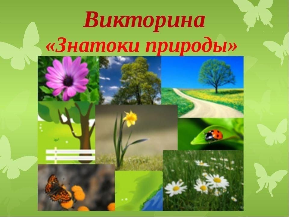 Викторина знатоки природы для начальных классов презентация