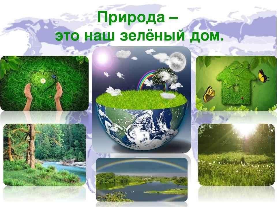 Презентация природа и человек 2 класс 21 век