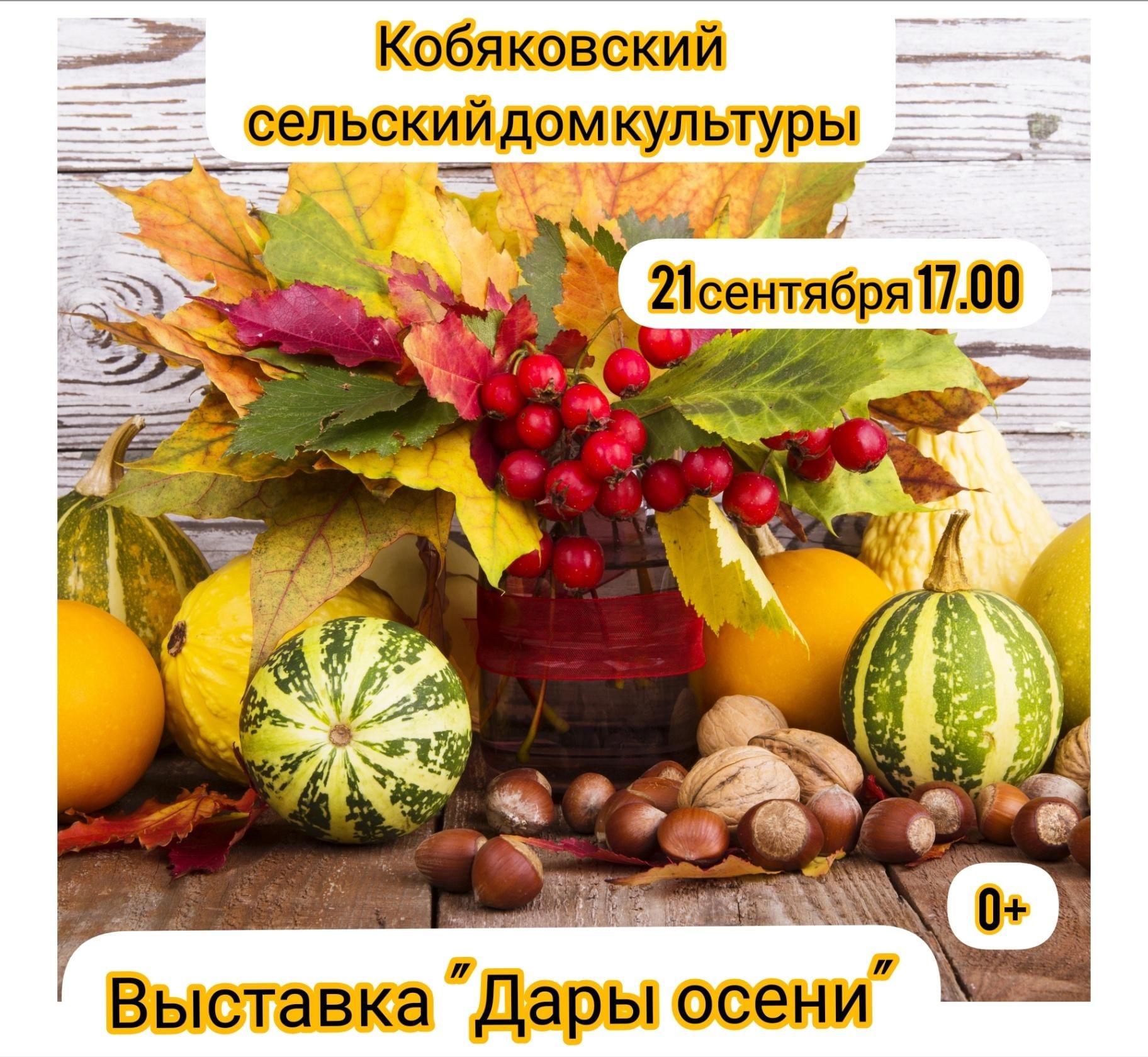 Дары осени фото