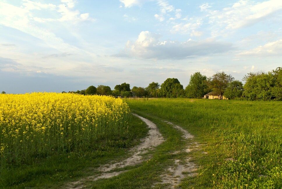 Село речи. Природа села картинки. Мое село фото. Моє село.