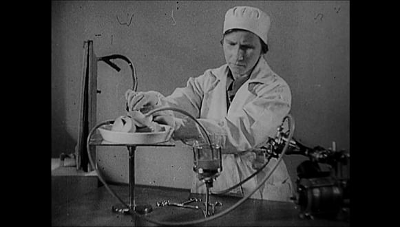 «Опыты по оживлению организма», 1940
